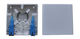 2 Ports Fiber Access Box