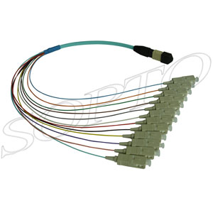 MTP-MPO Patch Cords