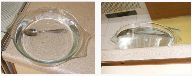 The bowl filled with water