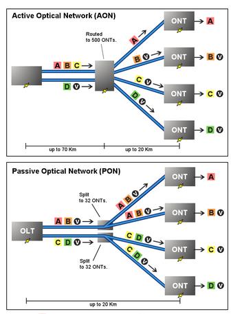 Active Optical Network and Passive Optical Network