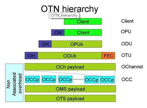 OTN Hierarchy