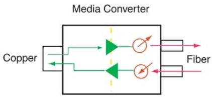 Convert the electrical signals and optical signals