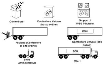 How Signals Are Transported by SDH