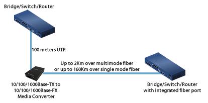 Media Converter and Switch/Router/Bridge