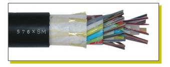 Figure3. Typical Loose Tube Cable