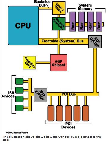 System Bus vs. PCI Bus